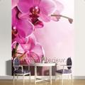 Pink Orchid small thema