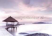 Pier in purple pastel colors fototapet Kleurmijninterieur All-images