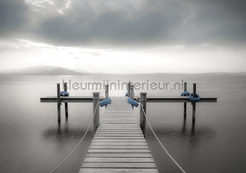 Pier in grey colors fototapeten Sonne - Meer - Strand Kleurmijninterieur