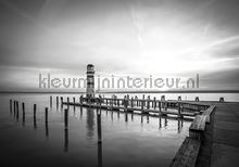 Lighthouse in black and white fototapet Kleurmijninterieur All-images