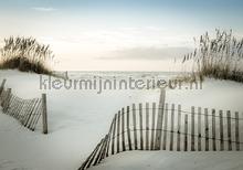 Fence in the dunes fottobehaang Kleurmijninterieur Alle-ploatjes