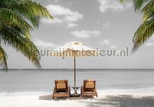 Beachchairs overlooking the sea fototapet Kleurmijninterieur All-images