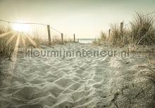 Dunes fottobehaang Kleurmijninterieur Alle-ploatjes