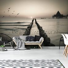 Strand, zee en duinen fotobehang online bestellen bij kleurmijninterieur. Bij ons u een enorm aanbod fotobehang met stranden, zee duinen in zon en maanlicht