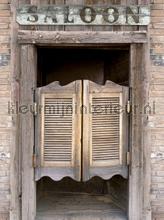 Salloon doors fototapeten Kleurmijninterieur weltkarten 