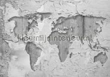 Worldmap craquele fototapet Kleurmijninterieur verdenskort 