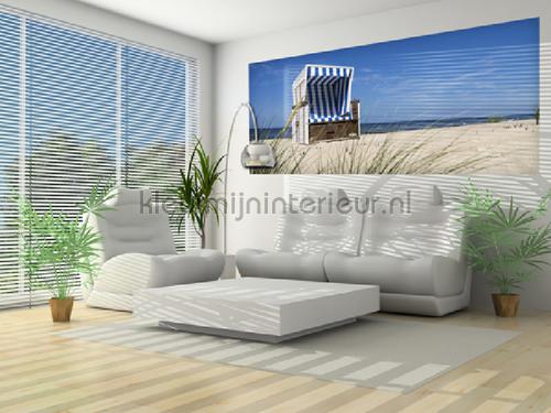  fototapeten Sonne - Meer - Strand Kleurmijninterieur