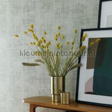 Johara vert de gris tapeten Casamance Le Velours 74391186