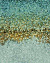 Scaless lichen fototapet Casadeco stemning 