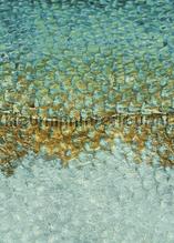 Scalesm lichen fototapet Casadeco stemning 