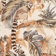 Lemuria jungle lemur natural behang Hookedonwalls Lemuria 60600