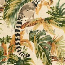 Lemuria jungle lemur green papel de parede Hookedonwalls Lemuria 60601