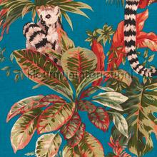Lemuria jungle lemur kingfisher papel de parede Hookedonwalls urbana 