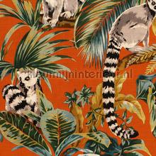 Lemuria jungle lemur burnt orange tapeten 60603 Hookedonwalls