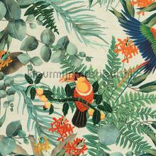 Parrot papier peint Hookedonwalls Wallpaper creations 