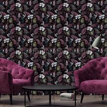 Samana wallcovering 15302 Exotic Hookedonwalls