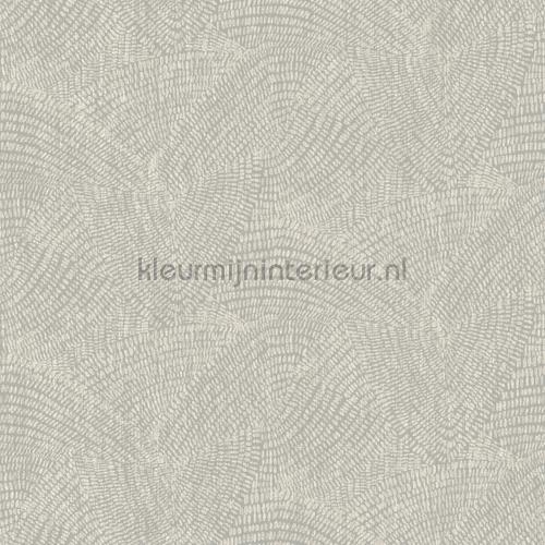 Rulong wallcovering 15322 Exotic Hookedonwalls