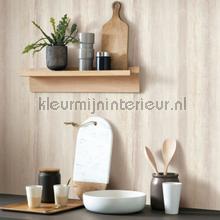 Geode rayure beton tapeten Casadeco uni farben 