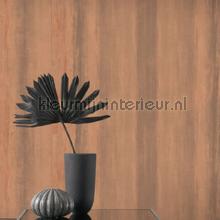 Geode rayure beton tapeten Casadeco uni farben 