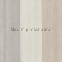 Baltic bois tapeten Casadeco uni farben 