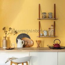 Uni orange moyen behang Caselio Linen Edition LNE68523115