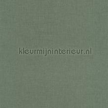 Uni vert bouteille wallcovering Caselio Linen Edition LNE68527852