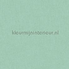 Uni vert bouteille moyen wallcovering Caselio Linen Edition LNE68527869