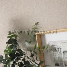 Uni gris beige fonce behaang Caselio Linen Edition LNE68529173