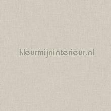 Uni gris beige fonce behang Caselio Linen Edition LNE68529173