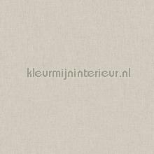 Uni gris beige fonce behang Caselio Linen Edition LNE68529173