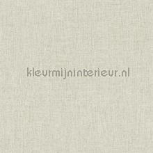 Unito licht grijsbeige wallcovering Hookedonwalls Linen Lyrics 34707