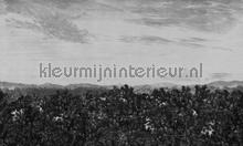 Oak view graphite fotomurales Sandberg todas las imgenes 