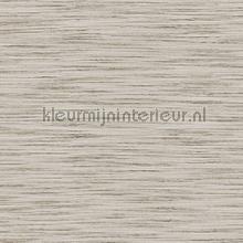 Subtle blend tapet Omexco Vintage Gamle 