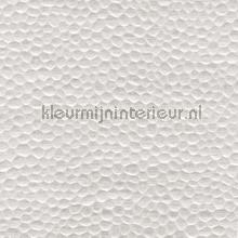 Isis - la transparence de la purete wallcovering Elitis Luminescent RM-612-01