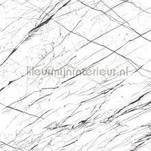 Bianco Marquina mamer klebefolie Bodaq Marmer ns895