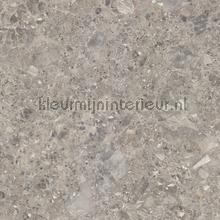 Terrazzo warmgrijs beige plekfollie Bodaq alle ploatjes 