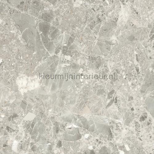 terrazzo lichtgrijs beige pellicole autoadesive pm008 premium marmo Bodaq