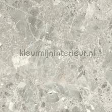 Terrazzo lichtgrijs beige feuille autocollante Bodaq premium Pierres Bton 