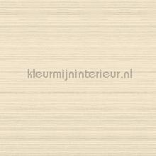 Line oyster whiet wallcovering Arte wallpaperkit 