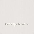 Klassieke structuur uni heel licht ecru wallcovering 380981 plain colors Pattern