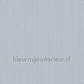 Klassieke structuur uni lichtblauw wallcovering 380985 plain colors Pattern