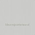 Klassieke structuur uni heel lichtgrijsbeige wallcovering 380989 plain colors Pattern