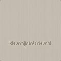 Klassieke structuur uni lichtbeige wallcovering 380991 plain colors Pattern