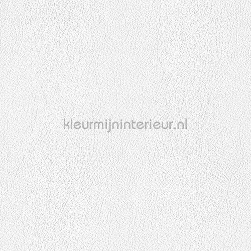 Overschilderbaar behang tapeten 928818 paintable wallpaper AS Creation