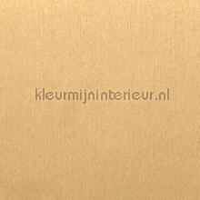 Goud metallic plekfollie Bodaq Metalen rm007