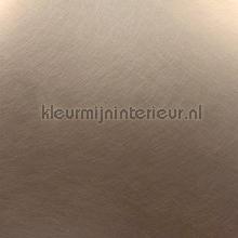 Rvs geborsteld uni lichtkoper plakfolie Bodaq premium metalen 