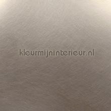 Rvs geborsteld uni lichtbrons plakfolie Bodaq premium metalen 