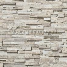 3d fijne reliefwand tapeten Livingwalls uni farben 