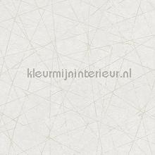 Metallic lijnen wirwar behang Livingwalls behang 