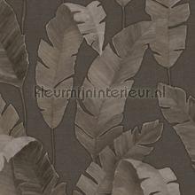 Balinees blad papel de parede Livingwalls quadrado 